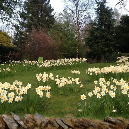 Acomodação com café da manhã  May Cottage B&B Bowness-on-Windermere