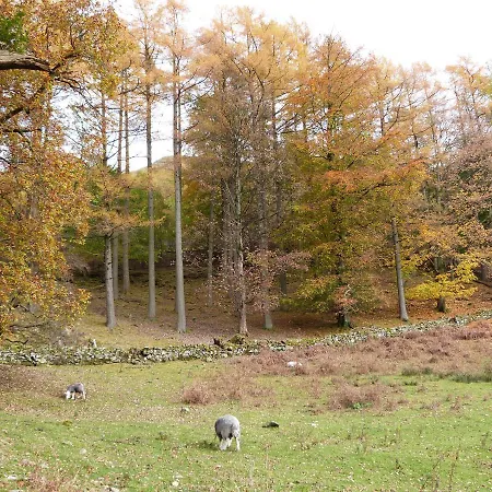 Cherry - Woodland Holiday home