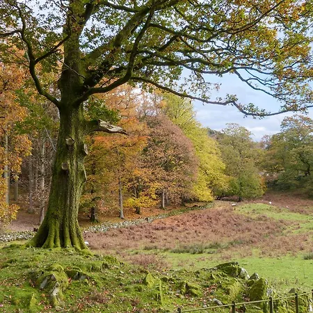 Cherry - Woodland Holiday home *