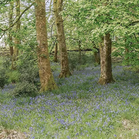 Cherry - Woodland * Bowness-on-Windermere